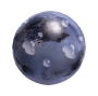 Grape_2019