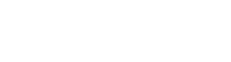 Pim-Brands-Logo-B2