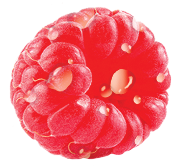 Raspberry_2019