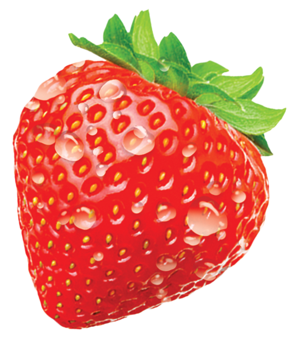 Strawberry_2019